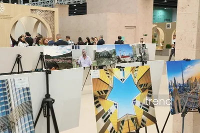 На WUF13 в Баку представлены фотовыставки о городской жизни, минной опасности и урбициде