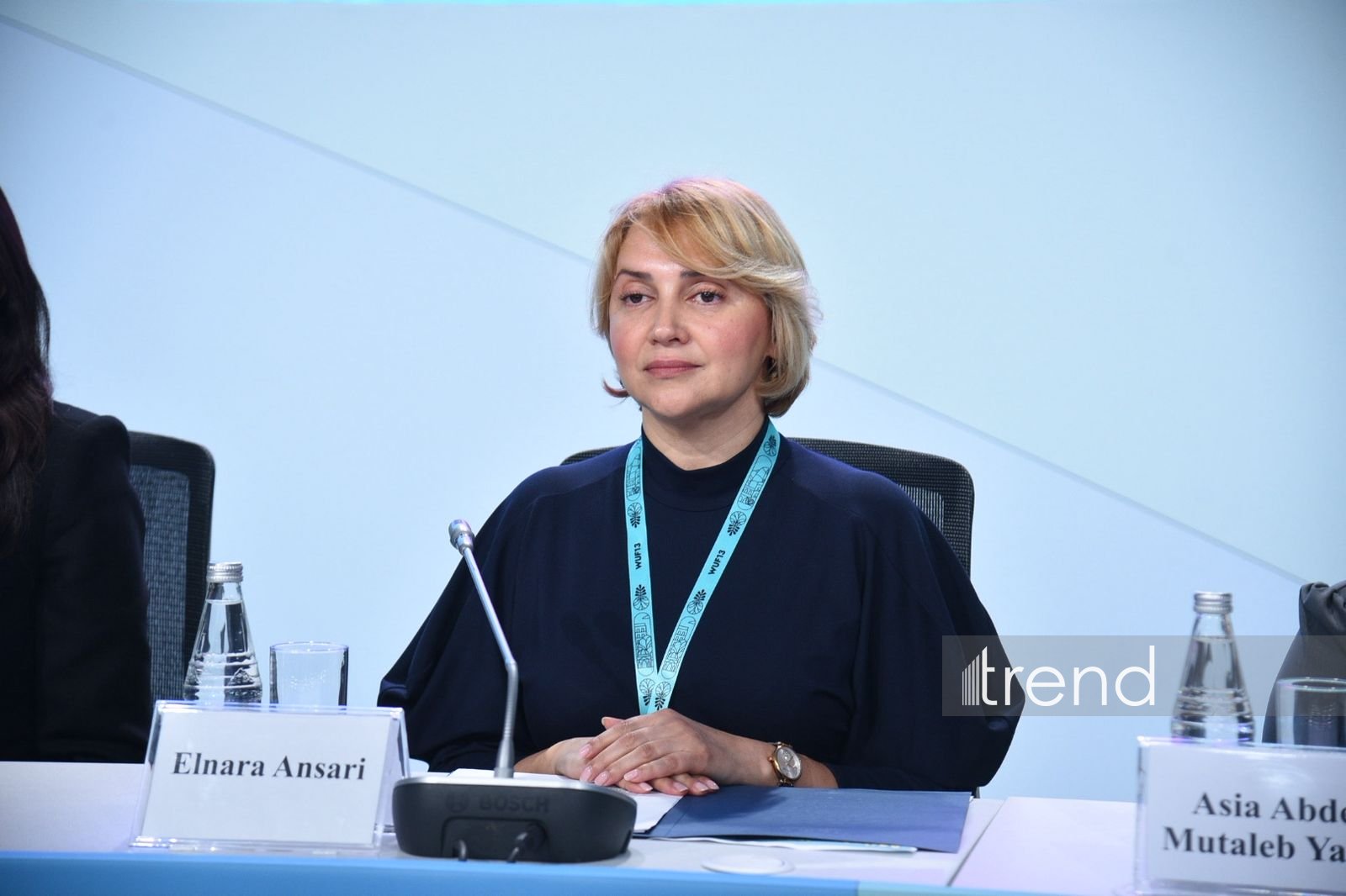 Доступная городская среда - основа независимой жизни людей с инвалидностью - директор Центра DOST