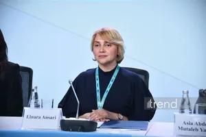 Доступная городская среда - основа независимой жизни людей с инвалидностью - директор Центра DOST