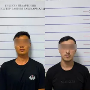 В Бишкеке задержаны подозреваемые в мошенничестве в особо крупном размере
