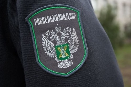 Россельхознадзор проконтролировал партию кыргызской плодоовощной продукции