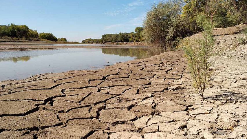 Всемирный банк выделит 20 миллионов долларов на спасение водных ресурсов стран ЦА