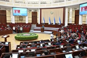 Проект закона об Администрации Президента направлен в Сенат