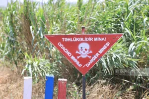 ANAMA: На прошлой неделе от мин очищено свыше 2300 га территорий