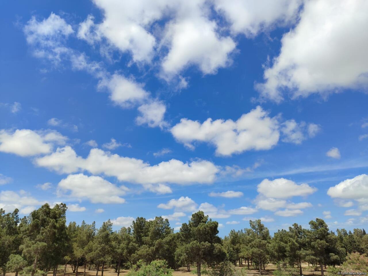 Sabah hava necə olacaq