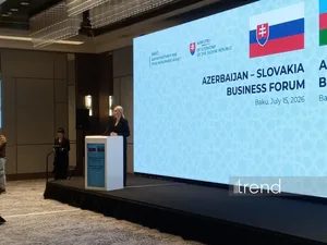 Azərbaycan Slovakiyanın mühüm tərəfdaşı və regionlar arasında əsas birləşdirici halqadır