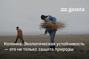 Колонка. Экологическая устойчивость — это не только защита природы