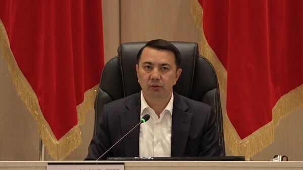 Спикер Жогорку Кенеша прокомментировал свою метафору о шакалах и льве