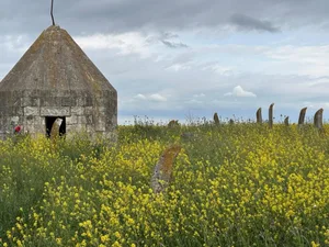 В Агдере и Агдаме обнаружены новые археологические памятники