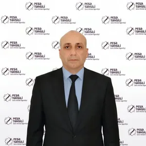Pünhan Əlizadəyə vəzifə verildi