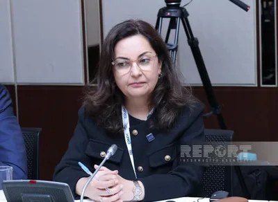 Дуррани-Джамал: АБР надеется на расширение сотрудничества с Азербайджаном в энергетике