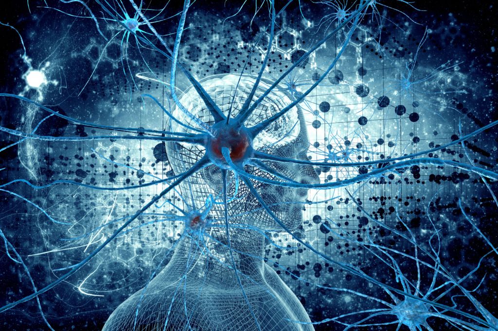Искусственный интеллект научили «видеть сны» прямо во время работы