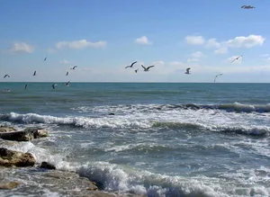 Азербайджан вводит систему платежей за водные ресурсы для бизнеса