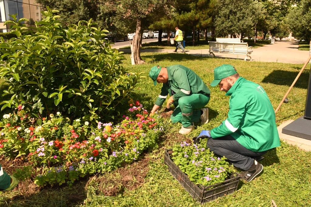 Təmiz və yaşıl Bakı