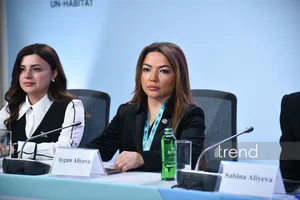 НПО играют ключевую роль в защите прав людей с инвалидностью - Айгюн Алиева