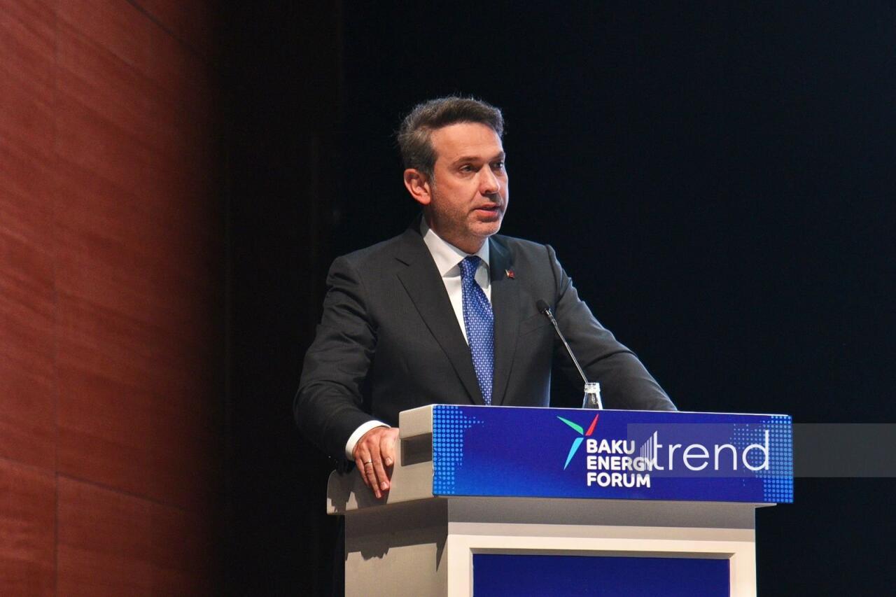 Türkiyə öz “yaşıl” enerji şəbəkəsinin genişmiqyaslı modernləşdirilməsini planlaşdırır