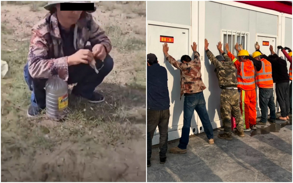 В Нарыне задержали иностранца, ловившего птиц в сетку (видео)