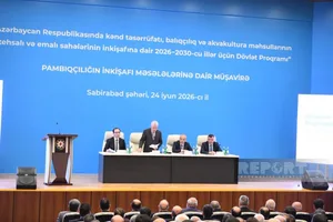 Зейнал Нагдалиев: Объем инвестиций в аграрную сферу Азербайджана оценивается в 700 млн манатов