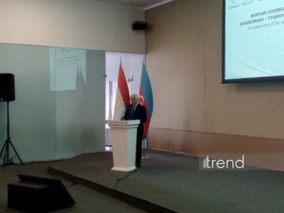 Товарооборот между Азербайджаном и Таджикистаном вырос более чем в два раза - замминистра экономики
