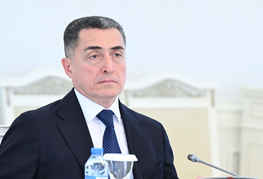 Механизм исполнения решений ЕСПЧ по правам переселенцев формируется сегодня - Али Гусейнли