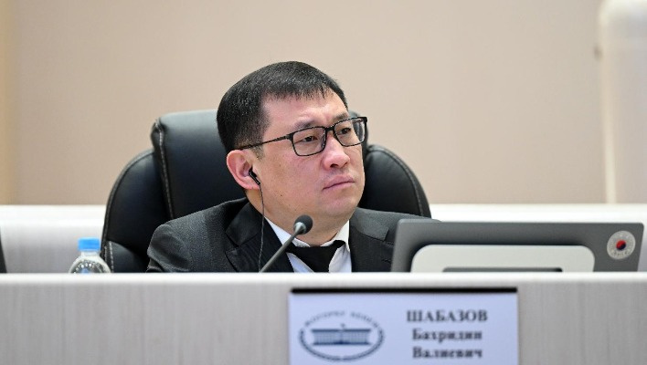 Депутат предлагает привлечь сотрудников МВД и военных к поискам мальчика в Кегеты