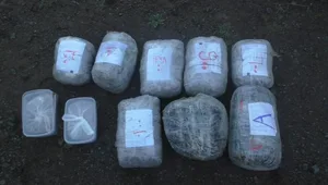 В Азербайджане из оборота изъяты наркотики на 112 млн манатов