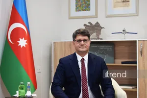 В Азербайджане будет внедрена система мониторинга лесов на базе ИИ – Рашад Исмаилов (Интервью)